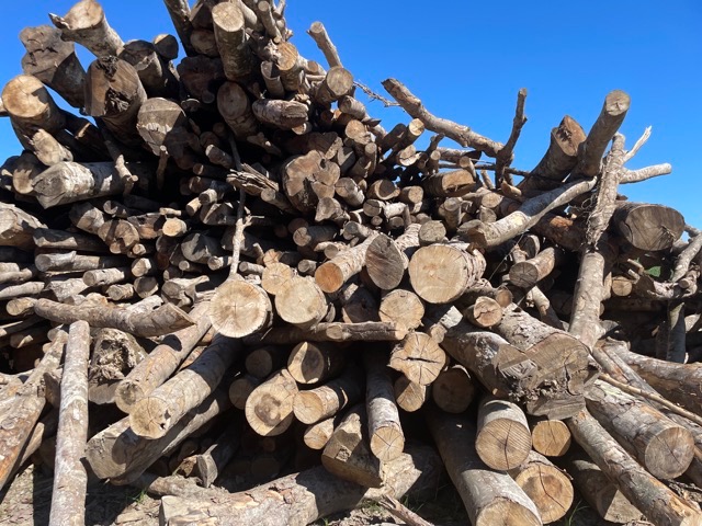 Ces troncs d'arbres stockés au sol vont être utilisés majoritairement en bois d’œuvre. Les troncs moins exploitables et les chutes seront par contre recyclées en bûches de bois de chauffage ou granulés de bois 