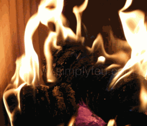 feu de bûche densifiée pour luter contre les particules fines