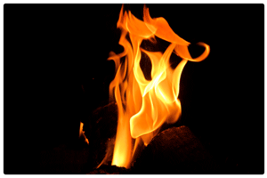 De belles flammes grâce aux bûches densifiées Feu de buche de bois compressé densifié