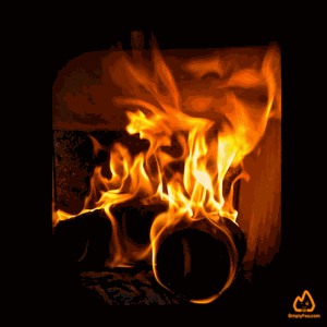 Poêle à bois avec feu de bûches compressées