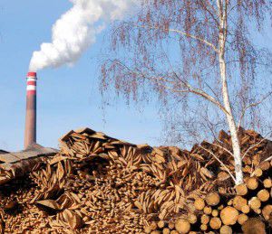 Biomasse a valoriser en granulés bûches plaquettes et produire de l'electricite