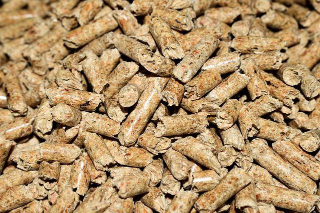 pellets de bois premium