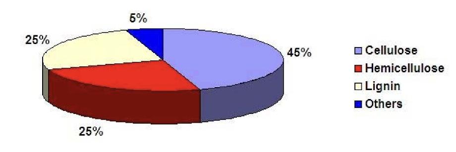 Proportion des molécules de lignine dans la biomasse