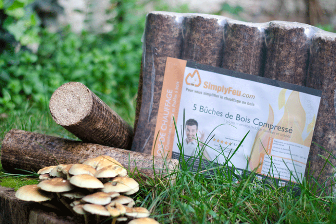 Buches compressées Simplyfeu produit à base de bois issu de forêt gérées durablement.