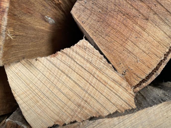 Sections de buches de bois essences chene ou hetre