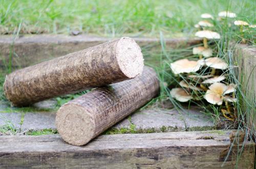 La buche densifiée est plus écologique que les autres énergies fossiles La buche compressée est plus écologique que les autres énergies