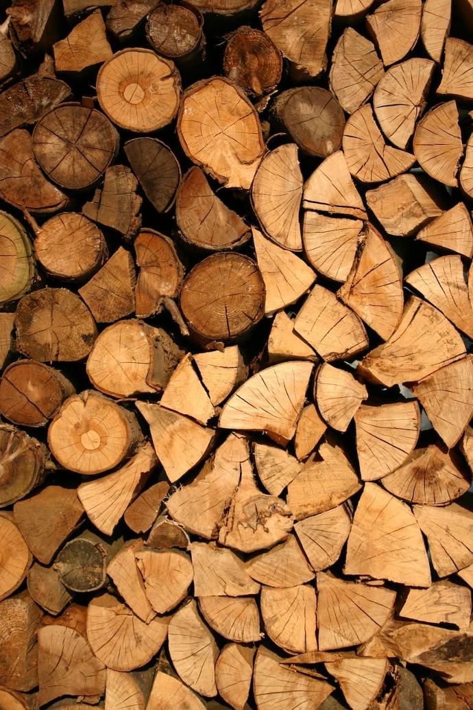 L’orme, la référence du bois de chauffage dur