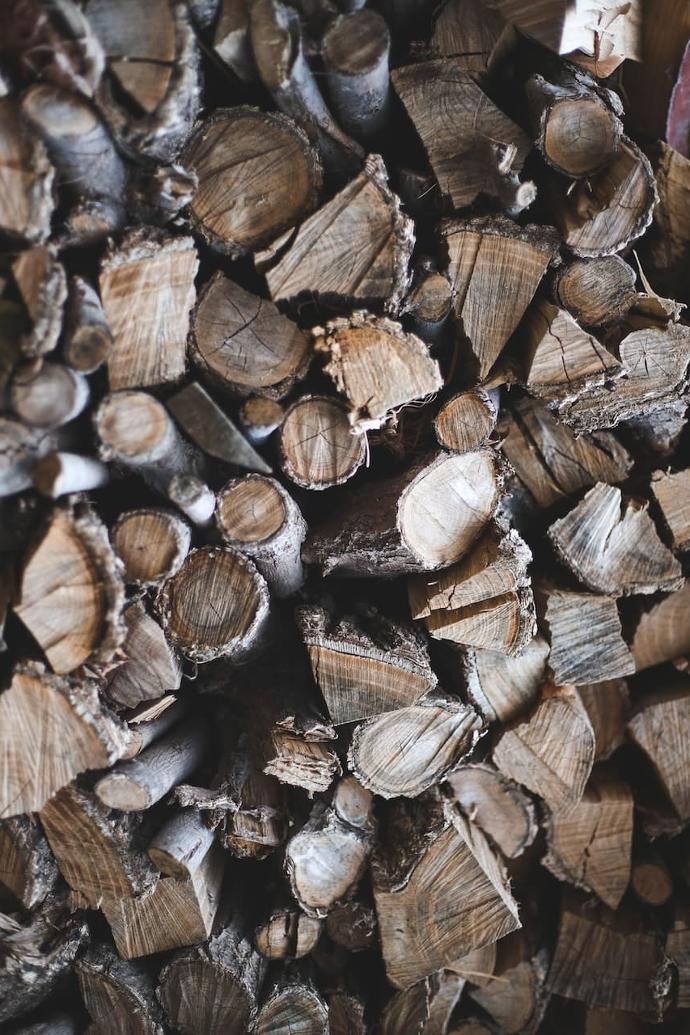 Le frêne, une référence dans les bois de chauffage durs