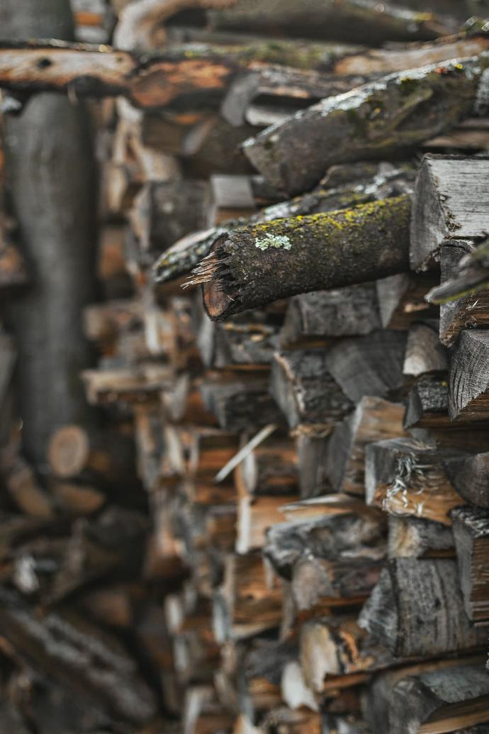 taux d’humidité pour le bois de chauffage