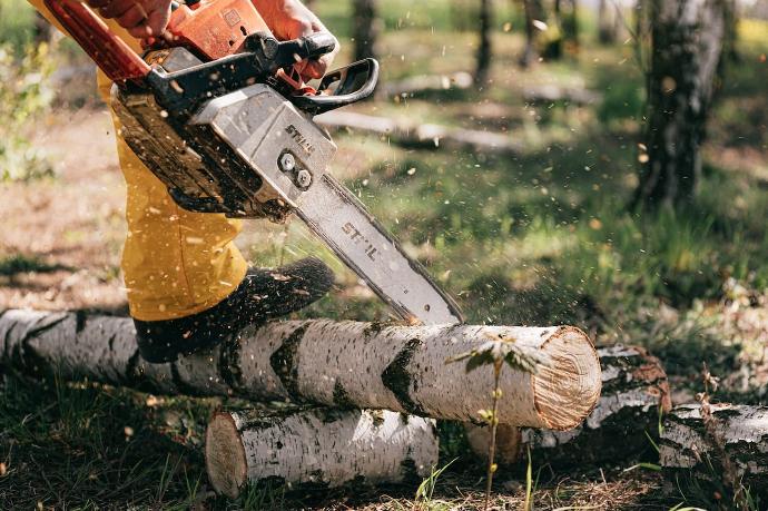 Rondin de bois de chauffage : quel temps de séchage faut-il ?