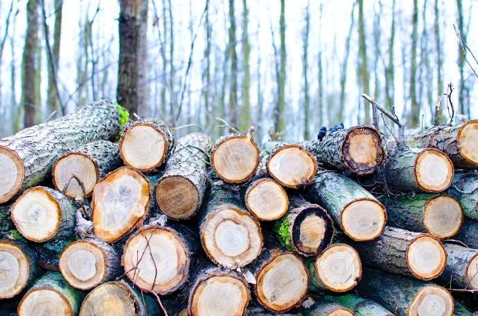 Comment savoir si votre bois lourd est trop humide ?