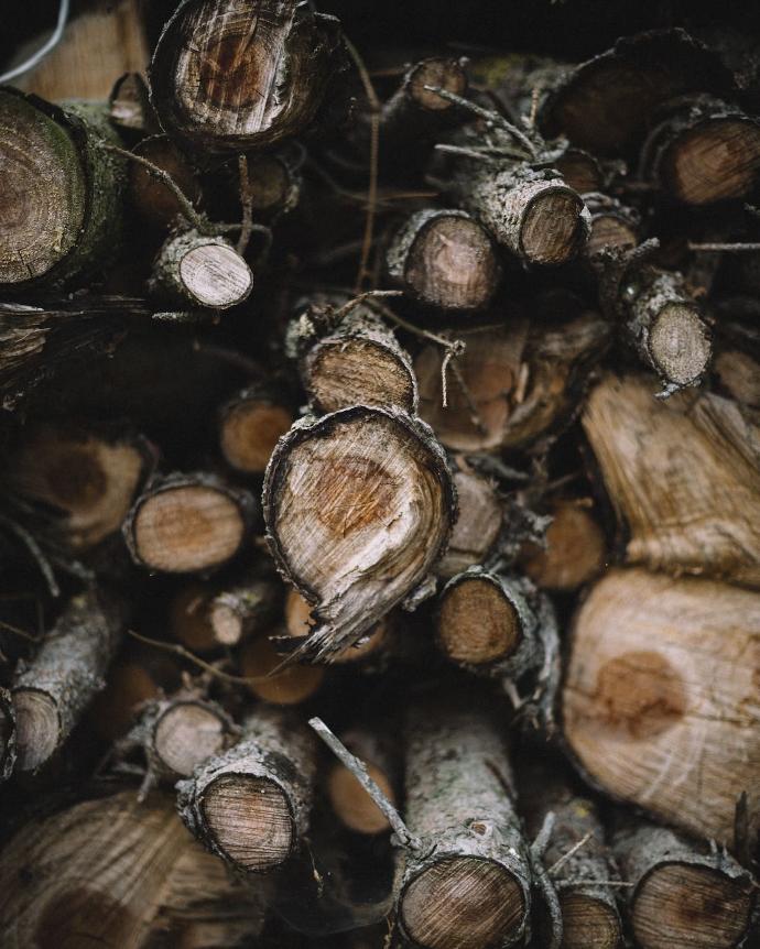 Comment identifier un bois léger encore trop humide ?