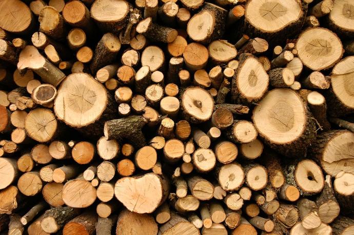 Rondin de bois de chauffage : quel temps de séchage faut-il ?