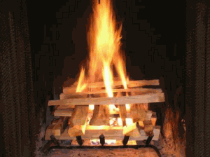 Bois de chauffage : Comment allumer son feu?
