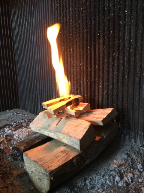 feu écologique avec bois de chauffage de qualité