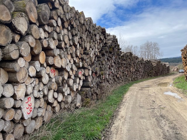 bois de chauffage 2 mètres