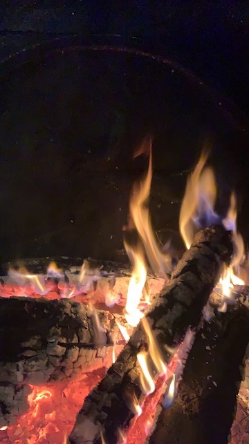 petite quantité de bûches de bois en flamme dans un insert vitré