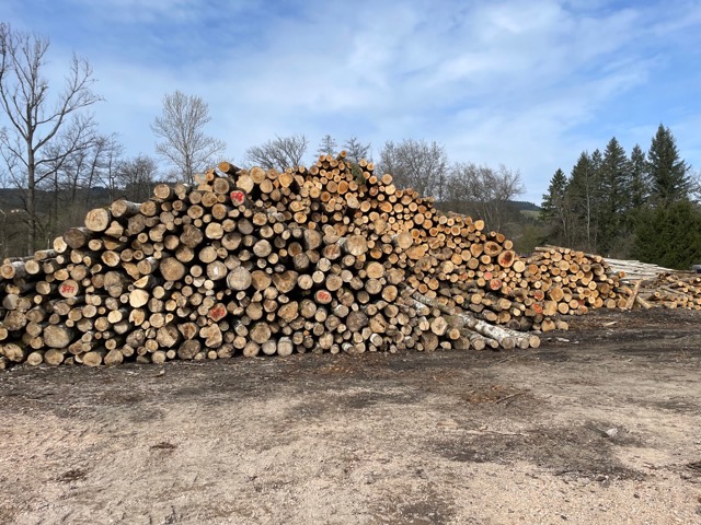 bois de chauffage séché naturellement