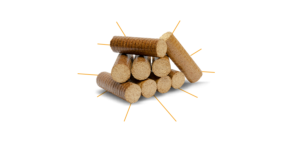 L’authenticité de la bûche de bois et les avantages du bois densifié