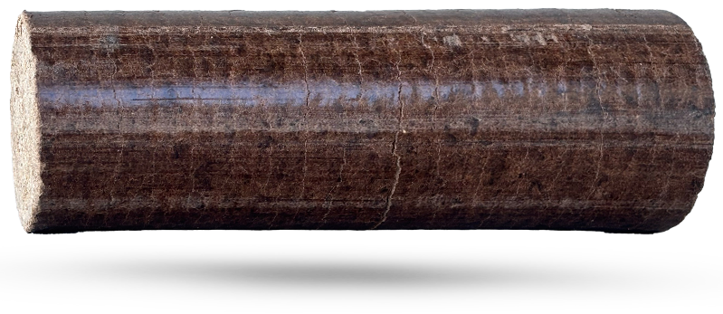 bûche de profil