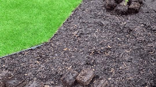 paillage d'écroce de bois dns un jardin
