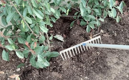Etaler son paillage d'ecrice de bois avec un rateau