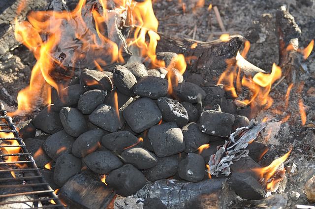Briquettes de charbon de bois