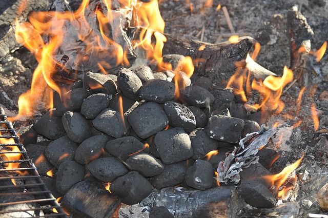 Briquettes ou charbon de bois? l SimplyFeu