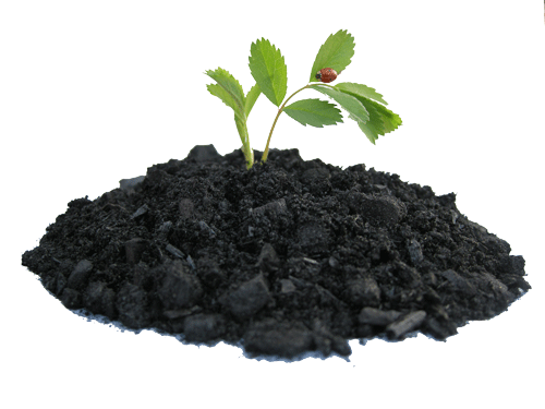 Le biochar