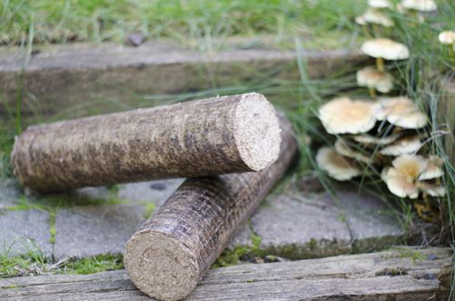 Le bois reconstitué, une alternative au bois buche l SimplyFeu