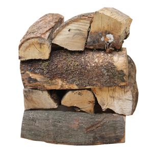 Bois de chauffage 40cm